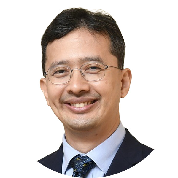 Datuk Johan Mahmood Merican